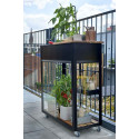 Serre de jardin Urban Vertical en verre trempé 0.25 m²