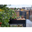 Serre de jardin Urban Vertical en verre trempé 0.25 m²