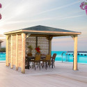 Pool House en bois Blueterm - 2 parois avec ventelles mobiles orientables