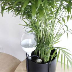Réserve décorative Iriso installée dans un pot de plante d'intérieur avec système goutte à goutte