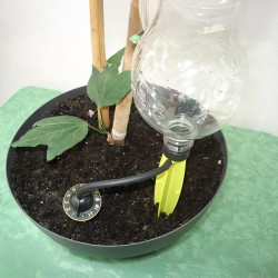 Système de goutte à goutte Iriso installé sur une plante en pot avec bouteille d'eau