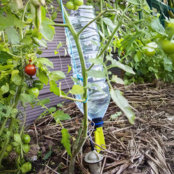 Système d'arrosage goutte à goutte Iriso avec bouteille en plastique sur pied goutteur pour tomates