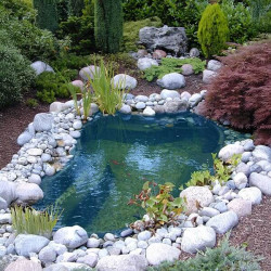Bassin de jardin préformé Calmus 145/220 L