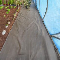 Toile de paillage noire 130g/m² installée dans une serre pour limiter la pousse des mauvaises herbes entre les rangs de culture