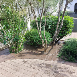 Toile de paillage marron 130g/m² installée autour d’arbustes et de massifs pour un jardin propre et sans mauvaises herbes