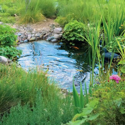 Bassin de jardin préformé Start 150L