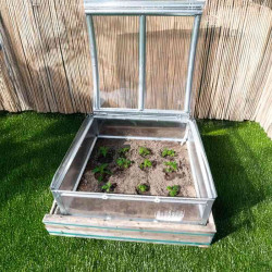 Mini serre pour semis en polycarbonate