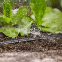 Kit d'arrosage Micro-Drip System pour parterres et massifs