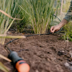 Installation d’un tuyau goutte-à-goutte Gardena dans un massif de graminées, fixée manuellement au sol pour un arrosage précis.