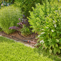 Tuyau d’arrosage goutte-à-goutte Gardena installé au sol entre des plantes vivaces et herbacées, idéal pour les bordures fleurie