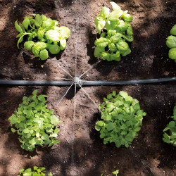 Kit d'arrosage jardin 10 goutteurs Hozelock