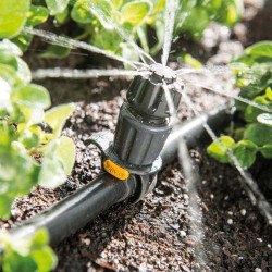 Asperseur réglable Hozelock Easy Drip diffusant des jets fins autour des plantes potagères à partir d’un tuyau flexible.