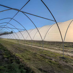 Serre tunnel avec bâche partielle laissant apparaître l’armature.