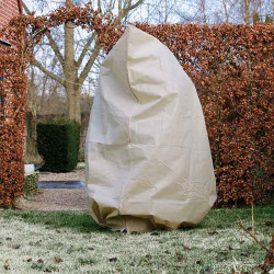 Housse d'hivernage beige 70 g/m² avec cordelette de serrage et fermeture zippée – complètement fermée autour d’un arbuste