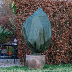 Housse d'hivernage verte 50 g/m² installée sur un arbuste en pot – protection contre le froid