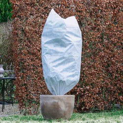 Housse d'hivernage blanche 50 g/m² installée sur une plante en pot – protection hivernale intégrale