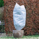Housse d'hivernage blanche 50 g/m² installée sur une plante en pot – protection hivernale intégrale