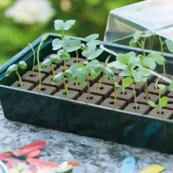 Mini serre hydroponique 16 alvéoles