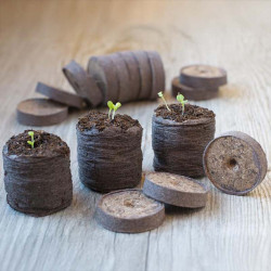 Pastilles de tourbe compressées