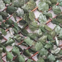 Zoom sur les feuilles de lierre synthétiques fixées au treillis en bois.