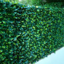 Treillis avec feuilles de troène doré posé sur une clôture.