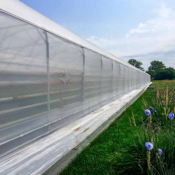 Filet brise-vent blanc 106 g/m² installé sur la longueur d’une serre tunnel, assurant ombrage et protection contre le vent