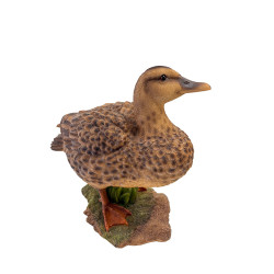 Vue de trois quarts avant de la cane GM brune décorative, mettant en valeur son plumage texturé.