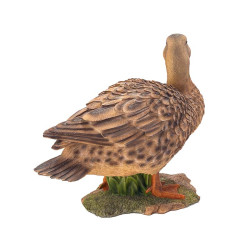 Cane GM Brune 