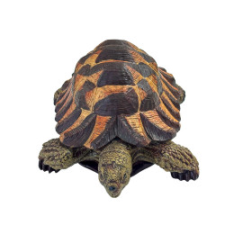 Tortue en résine vue de face légèrement en plongée, centrée sur la tête et la symétrie du dessin de la carapace.