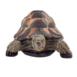 Tortue en résine vue de face, avec un focus direct sur le visage et les membres antérieurs étendus.