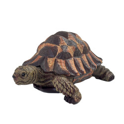 Tortue en résine vue de profil gauche, mettant en évidence la tête détaillée, les écailles des pattes, et les reliefs de la cara