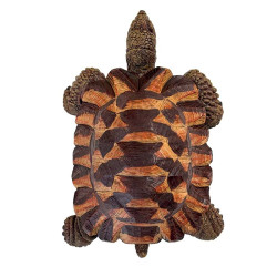 Tortue terrestre verte