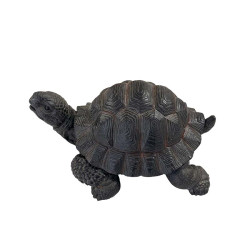 Tortue marron vue de profil droit, mettant en valeur la courbure de sa carapace et la position dynamique de ses membres.