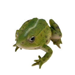 GRENOUILLE VERTE 15CM