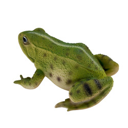 Vue latérale gauche de la figurine de grenouille verte de 15 cm, mettant en évidence les détails des pattes et des motifs sur le