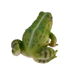 Vue arrière trois quarts droite de la grenouille verte de 15 cm, montrant la texture de la peau et la ligne dorsale claire.