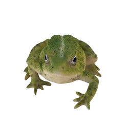 Vue frontale de la figurine de grenouille verte de 15 cm, les deux yeux orientés vers l'avant avec les pattes écartées.