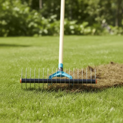 Embout de scarificateur vu de face dans la pelouse