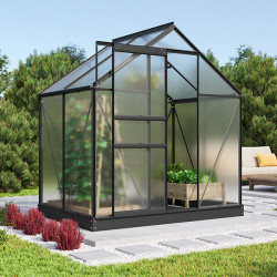 Serre de jardin Comet polycarbonate 4 mm avec base