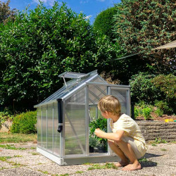 Petite serre résistante aux intempéries, idéale pour jeunes plants, semis et herbes aromatiques