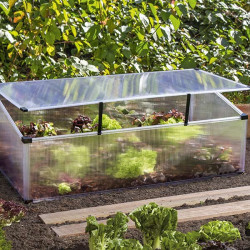 Serre compacte Feronia 0,6 m² polycarbonate 4 mm, toit ouvrant