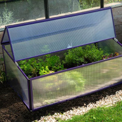 Mini serre compacte polycarbonate 4 mm anti‑UV pour culture de légumes et herbes aromatiques 