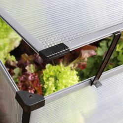 Mini‑serre de jardin petite surface pour potager urbain et herbes aromatiques 