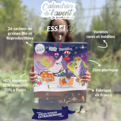 Calendrier de l’Avent 2025 potager graines à semer