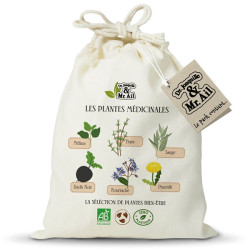 Kit “Les Plantes Médicinales” - Graines, pots et guide