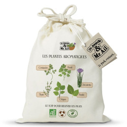 Kit “Les plantes aromatiques” – Dr Jonquille & Mr Ail