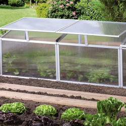 Serre miniature adaptée aux semis précoces, légumes et herbes aromatiques