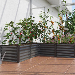 Lit de culture surélevé avec drainage naturel pour croissance optimale des racines