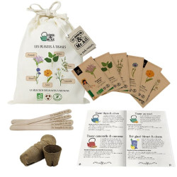 Kit de jardinage « Les plantes pour tisanes » – Graines, pots et livret