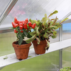 Étagère murale en aluminium avec supports